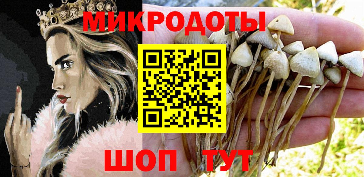 Галлюциногенные грибы Magic Shrooms  Вход с VPN  Зима 