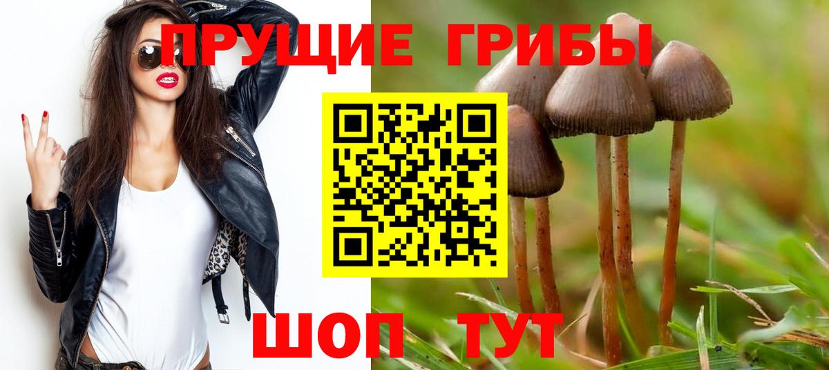 Галлюциногенные грибы мицелий Зима