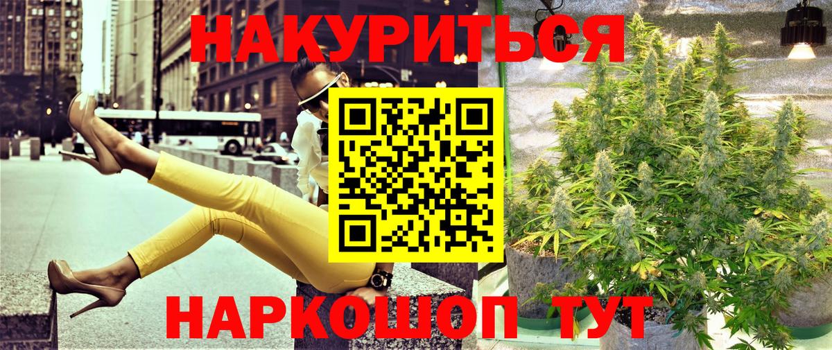 Каннабис план Зима